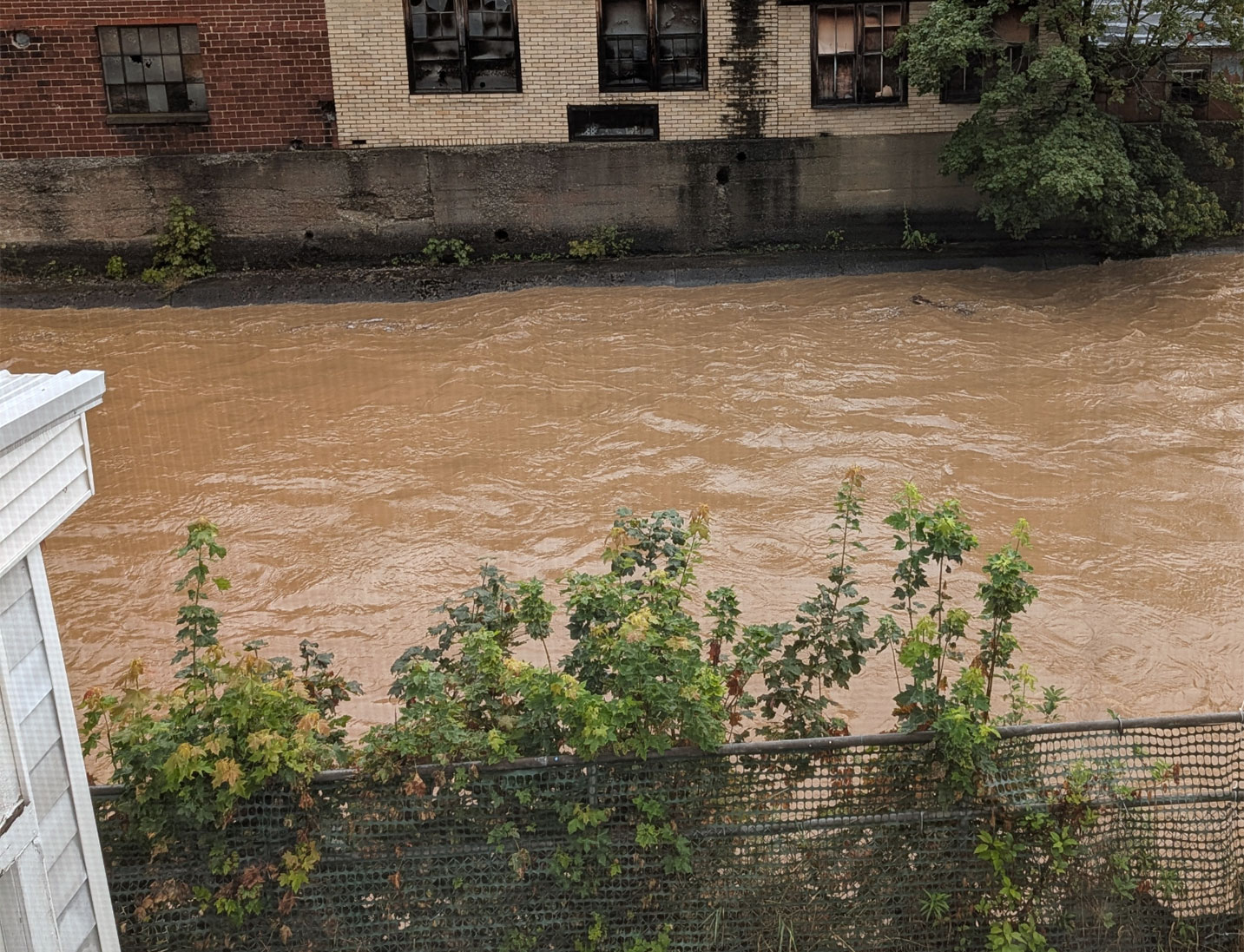 Image of dangerously high water level of the Tuna Creek near the west branch | The Bradford Standard